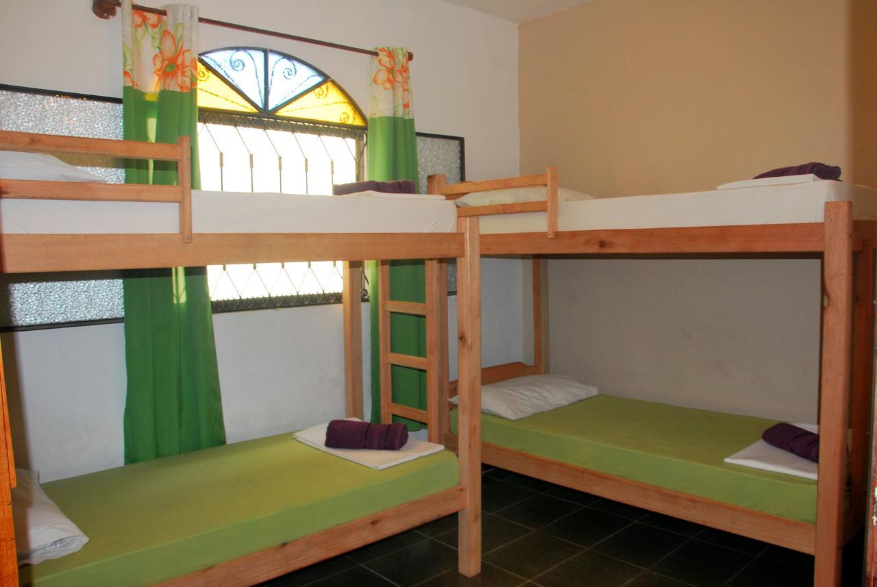 Nautilus Hostel Araquari Exteriér fotografie